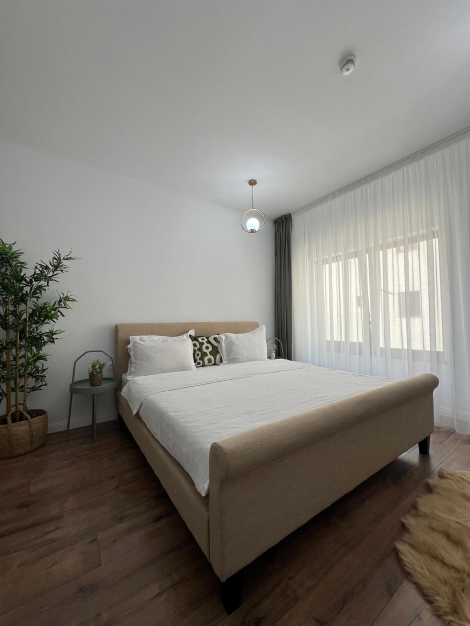 Cloud 9 Studios Piatra Neamţ Buitenkant foto